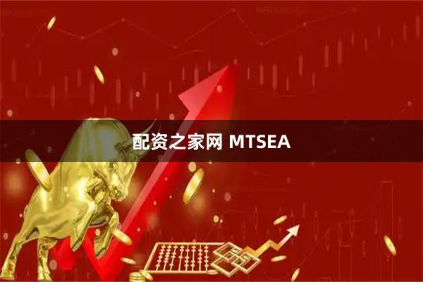 配资之家网 MTSEA
