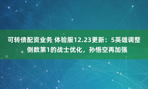 可转债配资业务 体验服12.23更新：5英雄调整，倒数第1的战士优化，孙悟空再加强